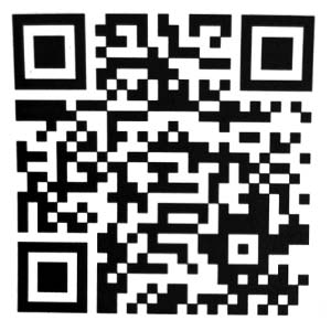 https://bus.gov.ru/qrcode/rate/326404?agencyId=130101.