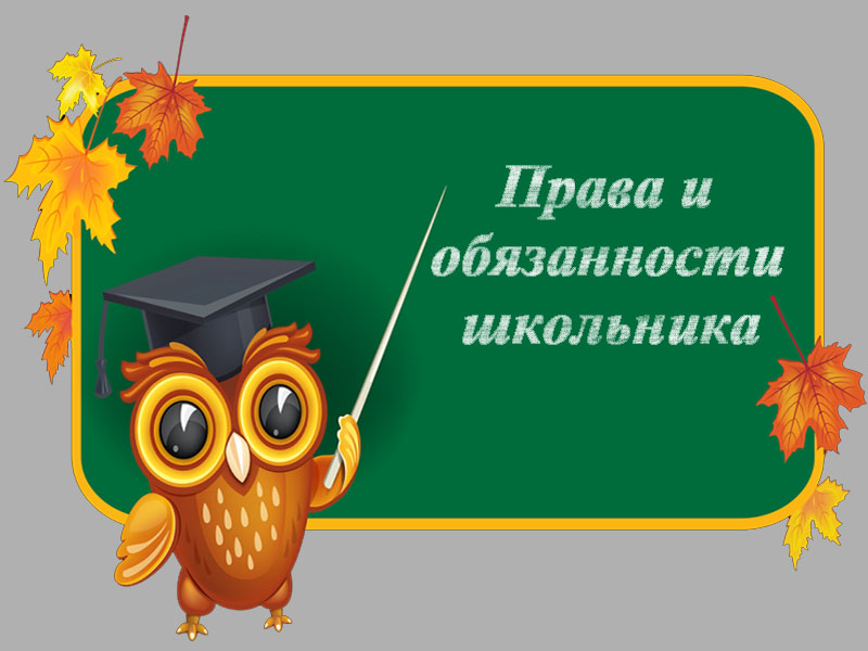 Правила обучения. Права и обязанности учащегося.